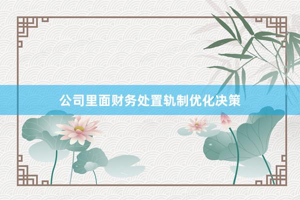公司里面财务处置轨制优化决策